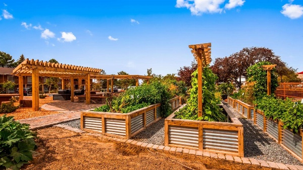 Best Western Plus Cedar City image 6